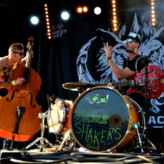 The Jungle Shakers - Pic by Vicky Chleide